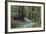 Redwood Forest II-Rita Crane-Framed Photographic Print