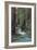 Redwood Forest IV-Rita Crane-Framed Photographic Print