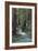 Redwood Forest IV-Rita Crane-Framed Photographic Print