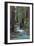 Redwood Forest IV-Rita Crane-Framed Photographic Print