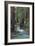 Redwood Forest IV-Rita Crane-Framed Photographic Print