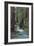 Redwood Forest IV-Rita Crane-Framed Photographic Print