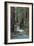 Redwood Forest IV-Rita Crane-Framed Photographic Print