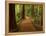 Redwood Forest, Rotorua, New Zealand-David Wall-Framed Premier Image Canvas