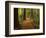 Redwood Forest, Rotorua, New Zealand-David Wall-Framed Photographic Print