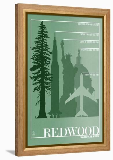 Redwood National Park - Redwood Relative Sizes-Lantern Press-Framed Stretched Canvas