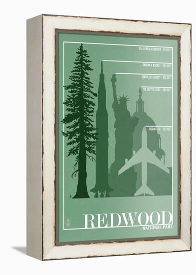 Redwood National Park - Redwood Relative Sizes-Lantern Press-Framed Stretched Canvas