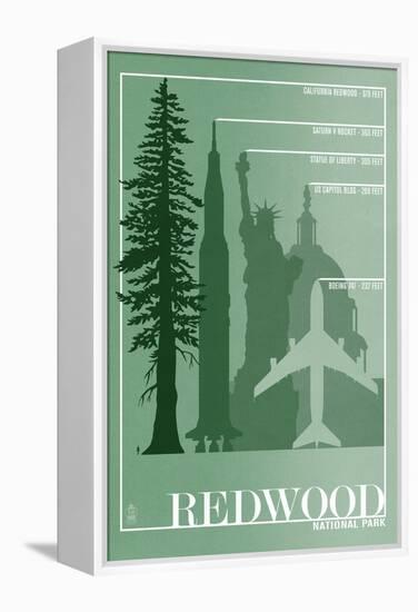 Redwood National Park - Redwood Relative Sizes-Lantern Press-Framed Stretched Canvas