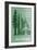 Redwood National Park - Redwood Relative Sizes-Lantern Press-Framed Art Print