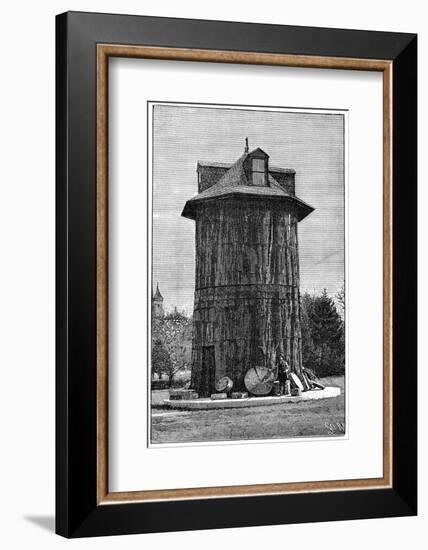 Redwood Tree House, 19th Century-Science Photo Library-Framed Photographic Print