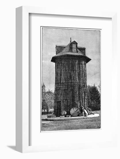 Redwood Tree House, 19th Century-Science Photo Library-Framed Photographic Print