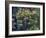 Redwood Trees and Rhodies in Bloom, Redwoods National Park, California, USA-Terry Eggers-Framed Photographic Print