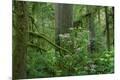 Premium Photographic Print