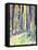 Redwoods Road Trip-Michelle Faber-Framed Premier Image Canvas