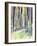 Redwoods Road Trip-Michelle Faber-Framed Giclee Print