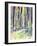 Redwoods Road Trip-Michelle Faber-Framed Giclee Print