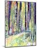 Redwoods Road Trip-Michelle Faber-Mounted Giclee Print