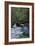 Redwoods State Park - Heron and Waterfall-Lantern Press-Framed Art Print