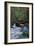 Redwoods State Park - Heron and Waterfall-Lantern Press-Framed Art Print