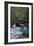 Redwoods State Park - Heron and Waterfall-Lantern Press-Framed Premium Giclee Print