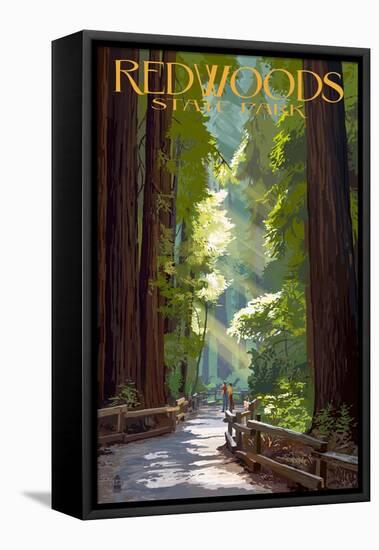 Redwoods State Park - Pathway in Trees-Lantern Press-Framed Stretched Canvas