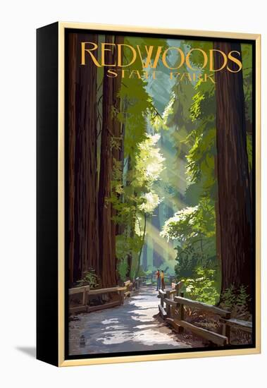 Redwoods State Park - Pathway in Trees-Lantern Press-Framed Stretched Canvas