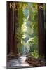 Redwoods State Park - Pathway in Trees-Lantern Press-Mounted Art Print