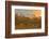 Reed at Sunrise, Zingst, Barther Bodden, Darss, Fischland-Darss-Zingst-Raimund Linke-Framed Photographic Print