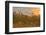 Reed at Sunrise, Zingst, Barther Bodden, Darss, Fischland-Darss-Zingst-Raimund Linke-Framed Photographic Print