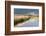 Reed Beds and View Towards Glastonbury Tor from Rspb Reserve, Somerset Levels, Somerset, UK-Ross Hoddinott-Framed Photographic Print