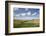 Reed Beds at Joist Fen, Lakenheath Fen Rspb Reserve, Suffolk, UK, May 2011-Terry Whittaker-Framed Photographic Print
