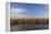 Reed Belt at the Lake Neusiedl Near Purbach, Burgenland, Austria, Europe-Gerhard Wild-Framed Premier Image Canvas