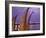 Reed Boats are Stacked Along the Beach at the Fishing Village of Huanchaco in Northern Peru-Andrew Watson-Framed Photographic Print