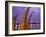 Reed Boats are Stacked Along the Beach at the Fishing Village of Huanchaco in Northern Peru-Andrew Watson-Framed Photographic Print