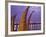 Reed Boats are Stacked Along the Beach at the Fishing Village of Huanchaco in Northern Peru-Andrew Watson-Framed Photographic Print