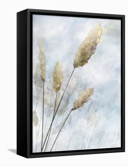 Reed Field I-Ken Roko-Framed Stretched Canvas