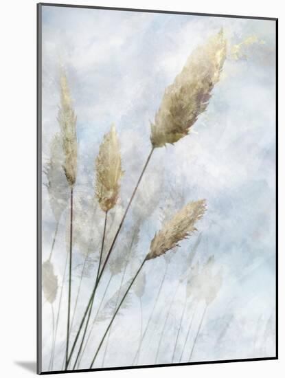 Reed Field I-Ken Roko-Mounted Art Print