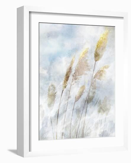 Reed Field II-Ken Roko-Framed Art Print