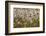 Reedgrass blowing in the wind-Jim Engelbrecht-Framed Photographic Print