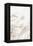 Reeds_001-1x Studio III-Framed Premier Image Canvas