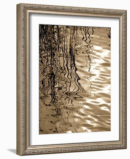 Reeds 8166-Rica Belna-Framed Giclee Print