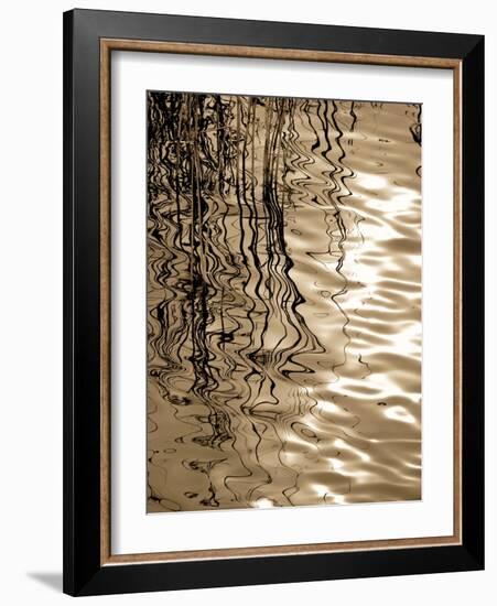 Reeds 8166-Rica Belna-Framed Giclee Print