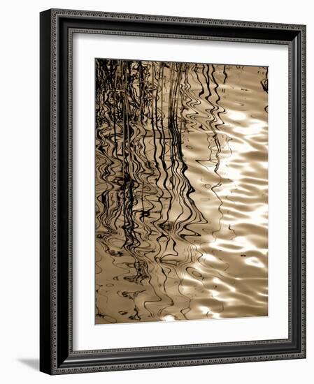 Reeds 8166-Rica Belna-Framed Giclee Print