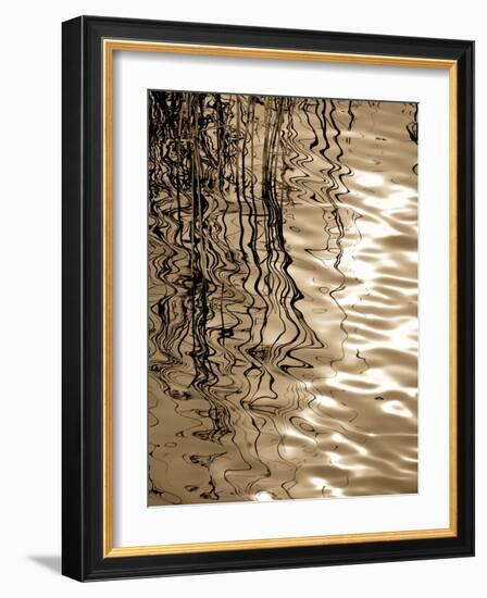 Reeds 8166-Rica Belna-Framed Giclee Print