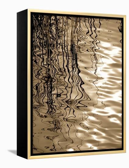 Reeds 8166-Rica Belna-Framed Premier Image Canvas