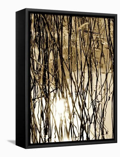 Reeds 8167-Rica Belna-Framed Premier Image Canvas