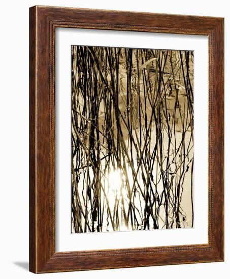 Reeds 8167-Rica Belna-Framed Giclee Print