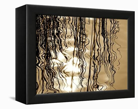 Reeds 8169-Rica Belna-Framed Premier Image Canvas