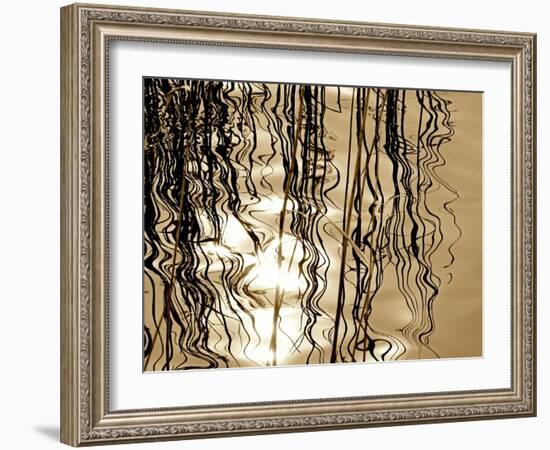 Reeds 8169-Rica Belna-Framed Giclee Print