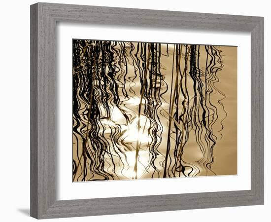 Reeds 8169-Rica Belna-Framed Giclee Print